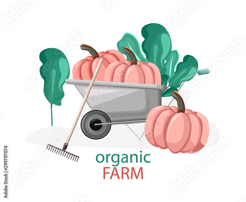 Organic farm composition with pumpkins in wheelbarrow, green bushes and rake....