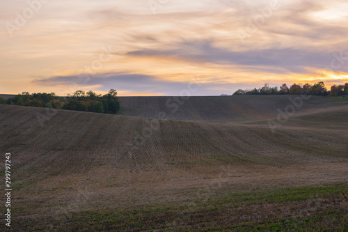 Autumn blurry sundown on wawy field in Czech Republic near Brno. Colorful evening farmfield sunset on countryside.