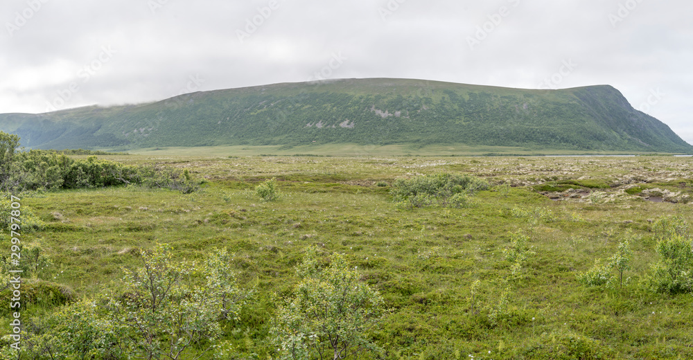 Fototapeta premium green countryside, near Nordmela, Norway