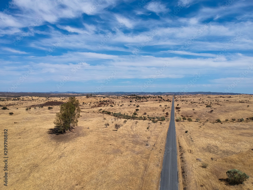 Aerial view of a country road in spring. Alentejo, Portugal. Drone view