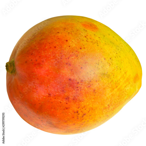 ripe mango on a red, orange, yellow isolated white background.