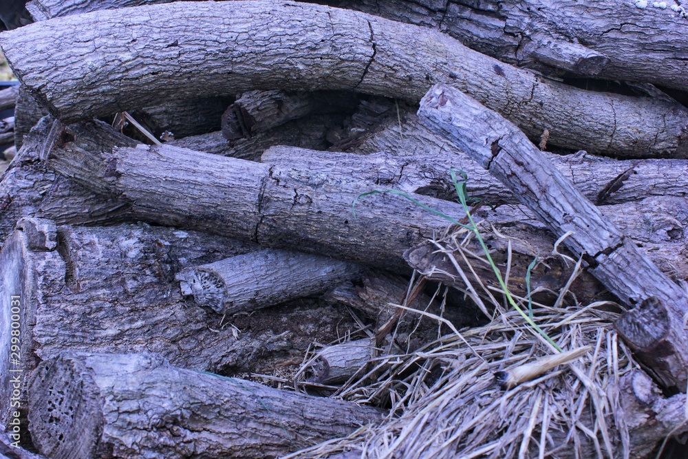 obsolete piles of wood