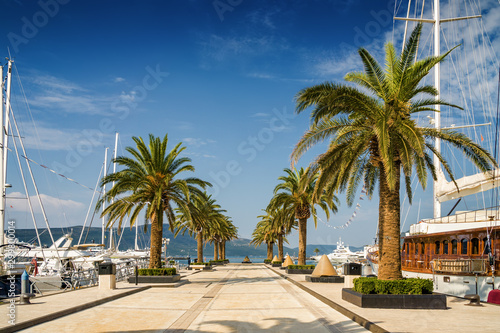 Morning view of sailing boats in marina of Tivat  Montenegro.