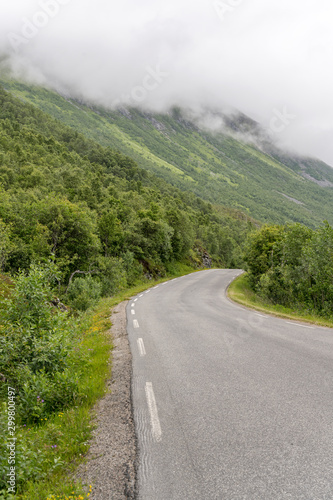 road bending on green slopes in birch wood, near Bogen, Norway
