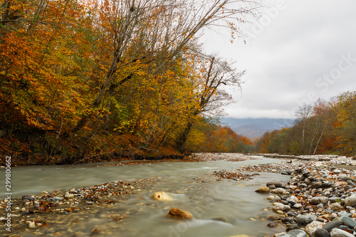 Mountain river bed in autumn