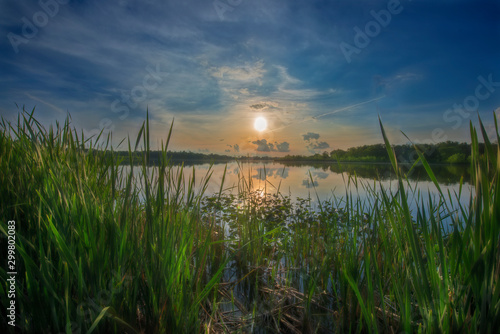 Sunset through the Cattails