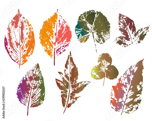 The imprint of the leaves. Colored silhouettes of leaves. Vector illustration. Isolated objects on white background. 