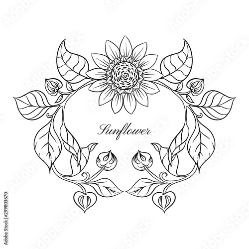 Sunflower. Set of elements for design Vector illustration. Outline hand drawing in art nouveau style  vintage  old  retro style.
