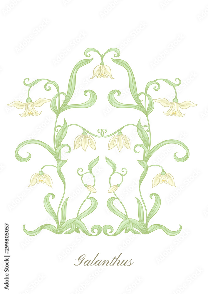 Galanthus, snowdrop, nivalis. Set of elements for design Colored vector illustration. In art nouveau style, vintage, old, retro style. Isolated on white background. Galanthus, snowdrop, nivalis. Set of elements for design Colored vector illustration. In art nouveau style, vintage, old, retro style. Isolated on white background.