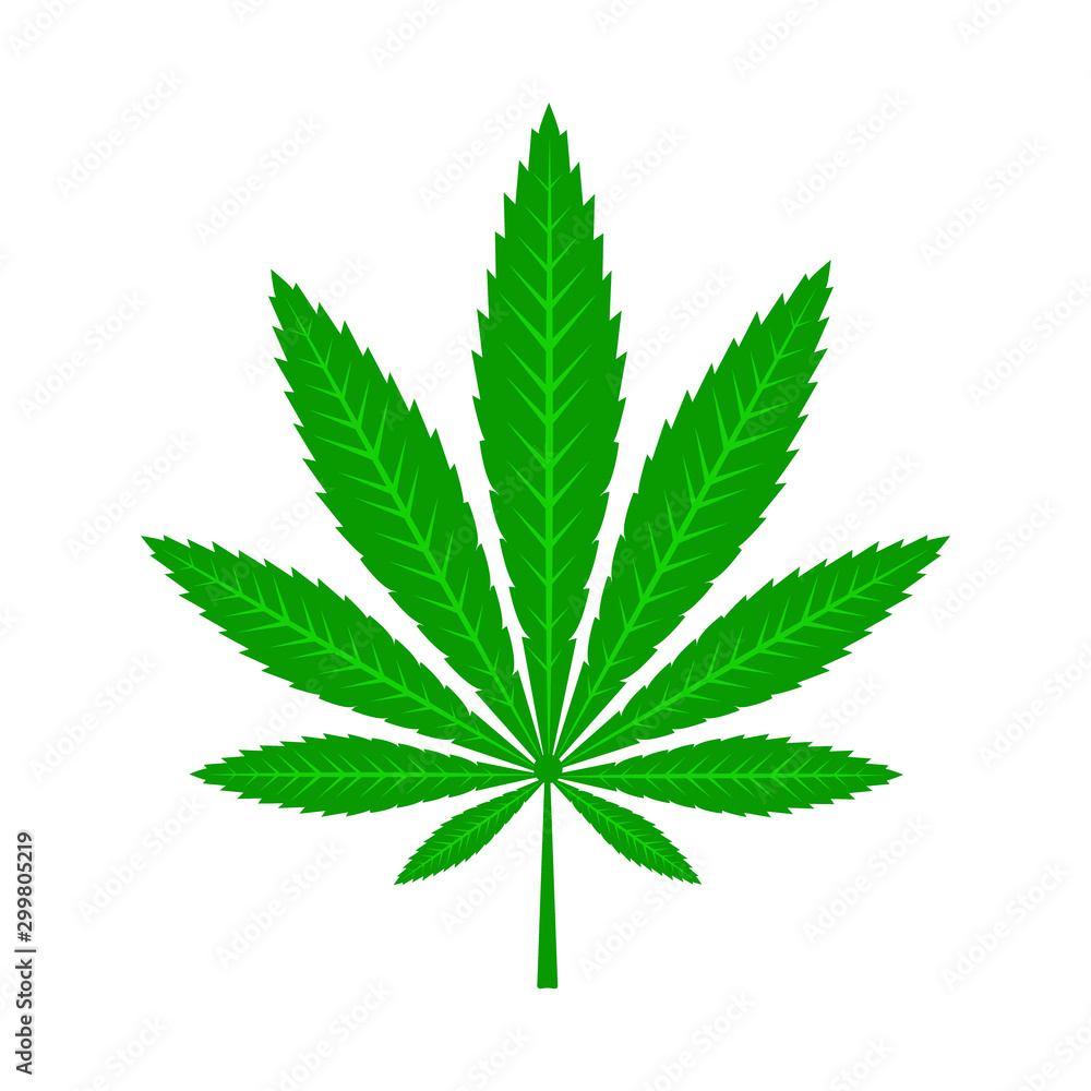 Green cannabis leaf. Green cannabis leaf.