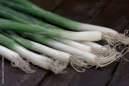 Onion, young omion, spring onion closeup - healthy food photo