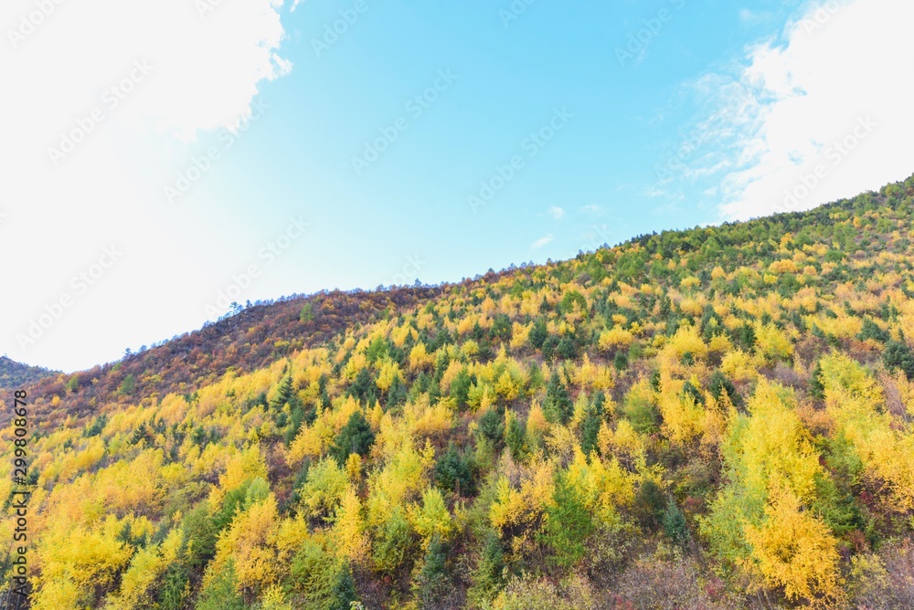 Beautiful Landscape of Autumn Mountain in China