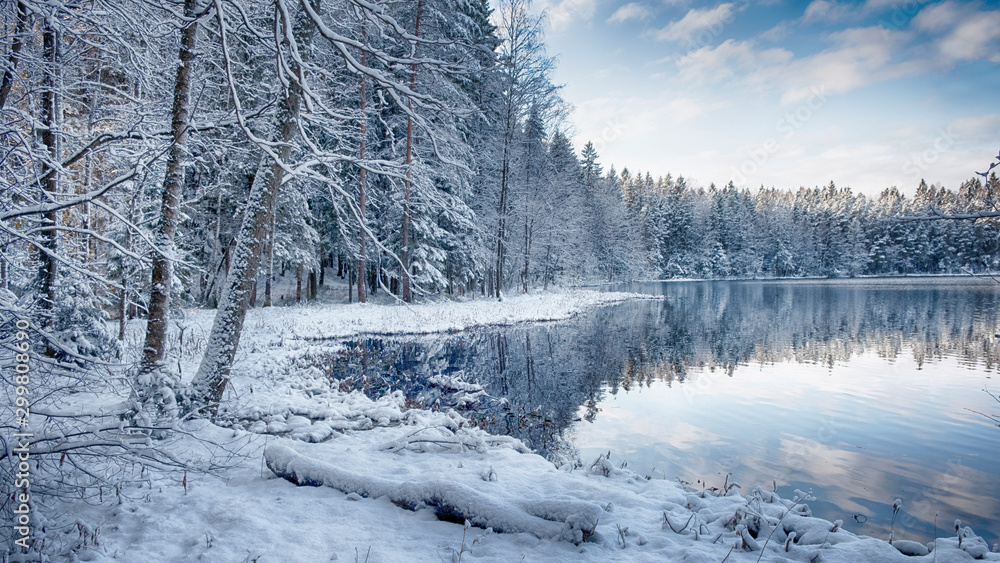 Lake in a fabulous winter forest after snowfall