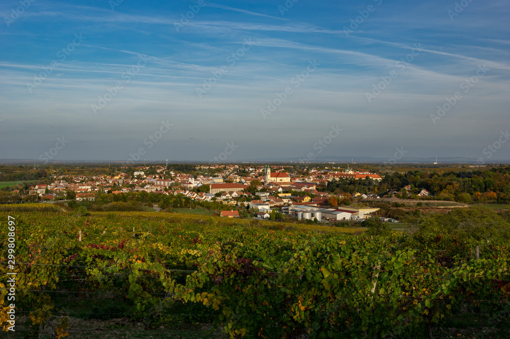 Landscape view on South Moravian town Valtice, Czech Republic. Looking through extensive vineyards.