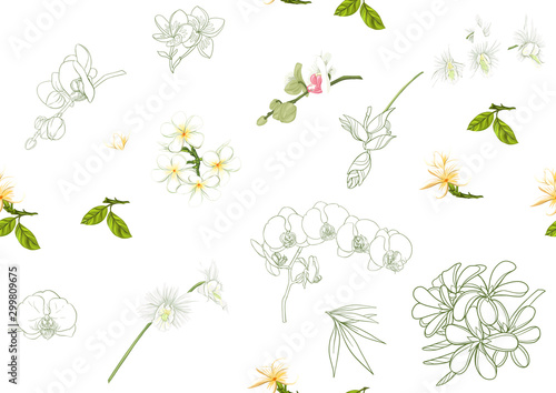 Tropical plants and flowers. Seamless pattern  background. Colored and outline design. Vector illustration. Isolated on white background