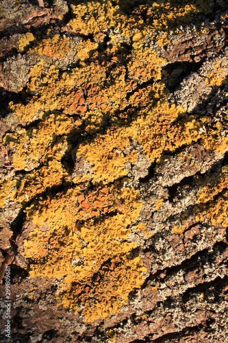 Wallpaper Mural abstract background Torontodigital.ca