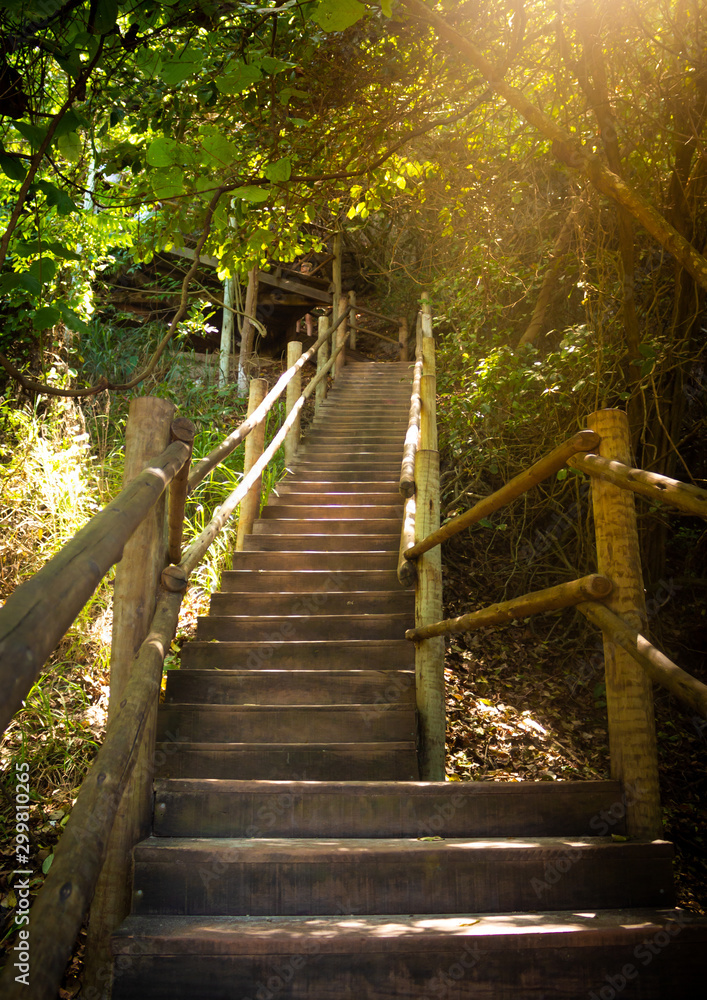 Wooden ladder in the middle of the forest. . Ascent to the beyond. Wooden ladder in the middle of the forest. . Ascent to the beyond.