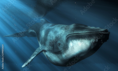 A gentle giant swims just below the surface of the deep blue sea. This ocean going mammal is a humpback whale. Light cuts through the sea to shine down on the old and scarred creature. 3D rendering photo