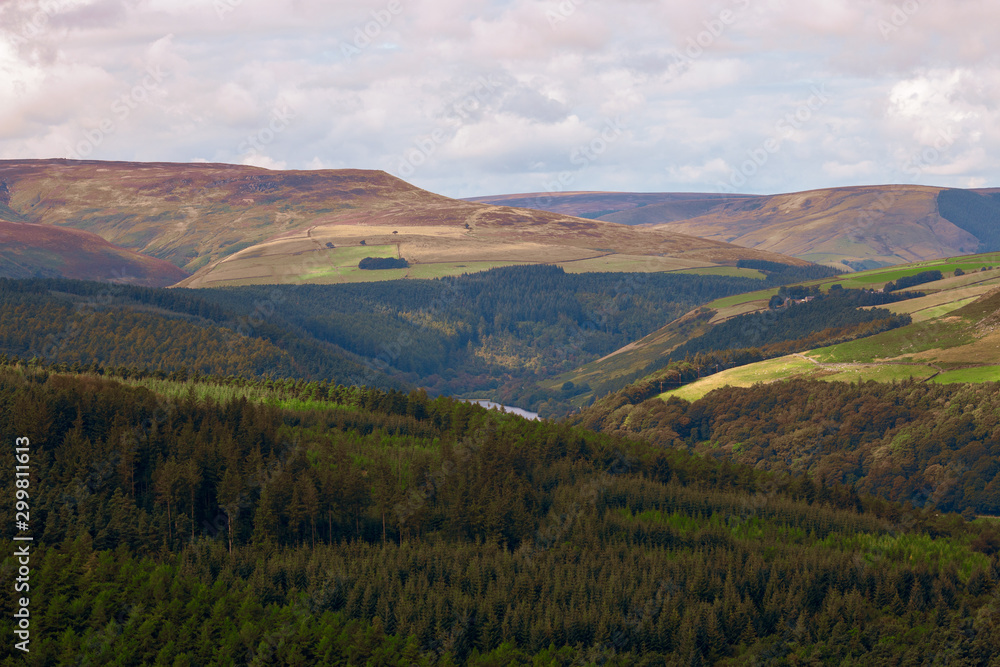 Fototapeta premium Nature