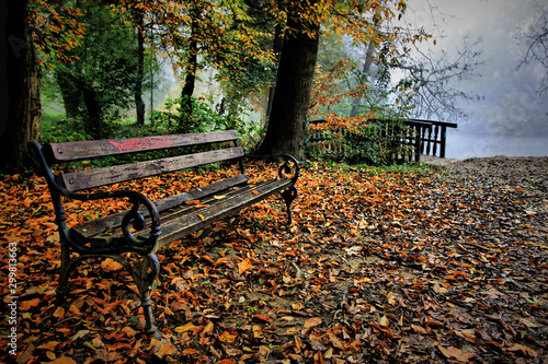 Bench