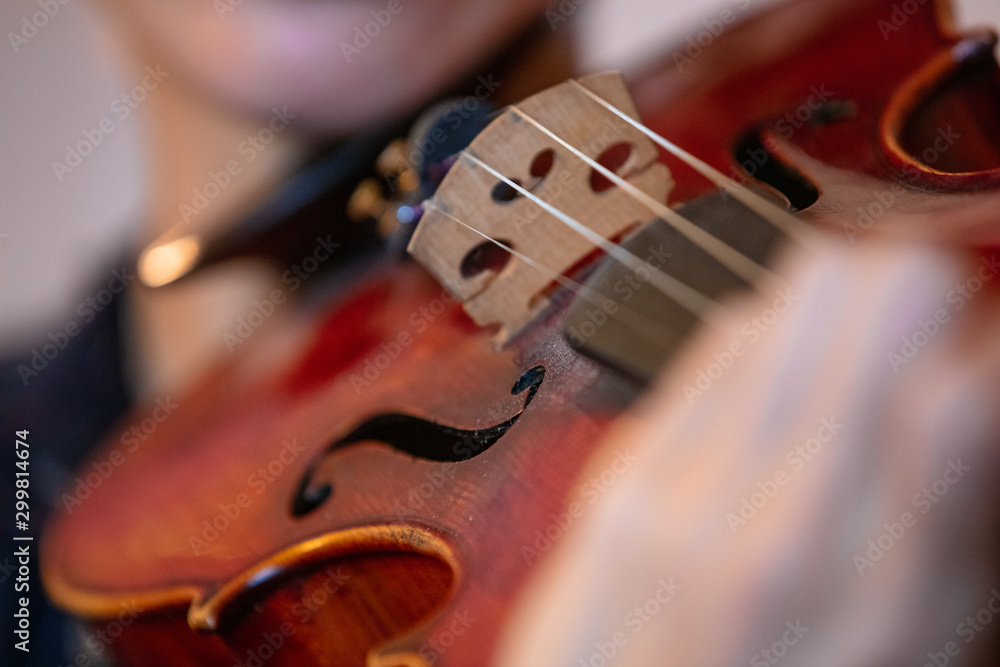 Fototapeta premium Playing violin