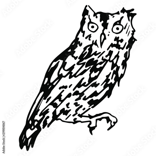 Isolated vector illustration. Eastern screech owl. (Otus asio). Hand drawn linear ink sketch. Black and white silhouette.