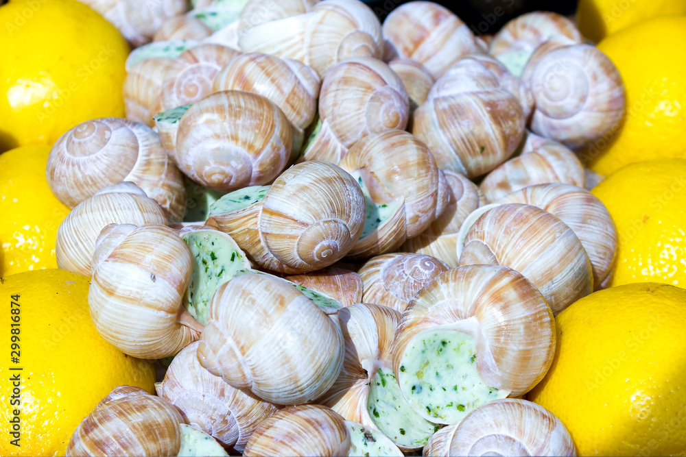 Stuffed seashells with lemons. Stuffed seashells with lemons.
