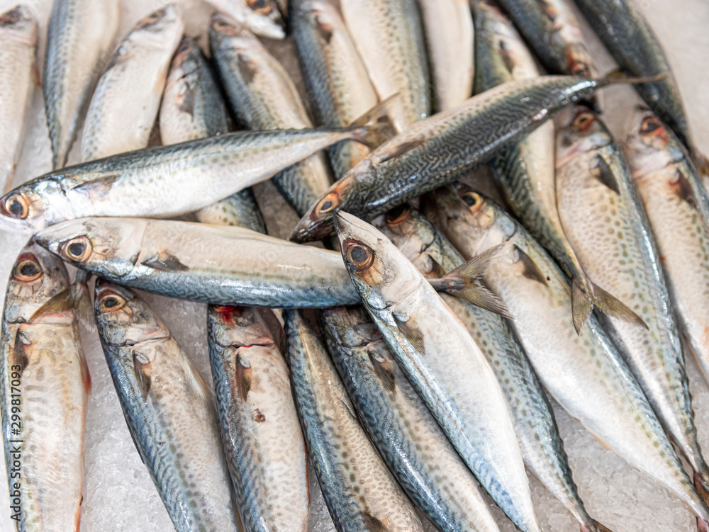 Fototapeta premium fresh fish at the market