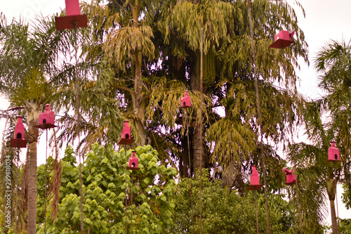 Parque com casinhas de pássaros pendurada nas árvores photo