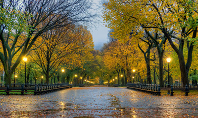 Central Park the Mall