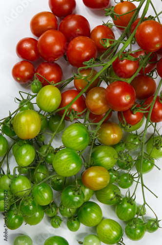 Colorful tomatoes an a white background