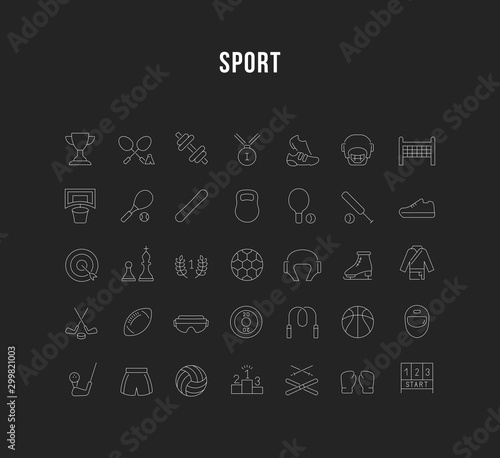 Set Vector Line Icons of Sport.