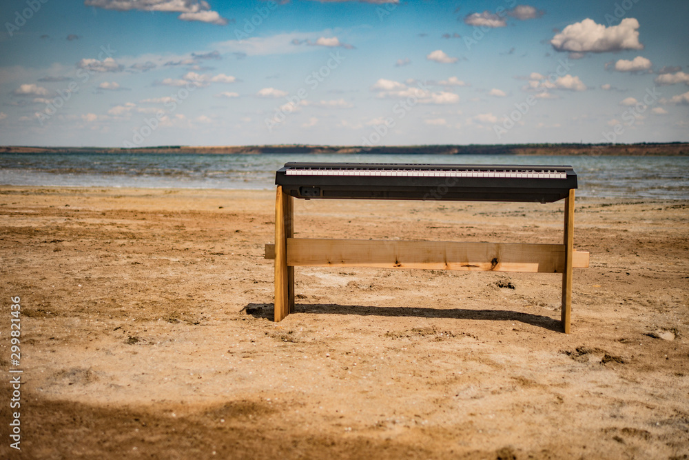 Obraz premium electronic digital piano on a wooden stand, bay on the shore
