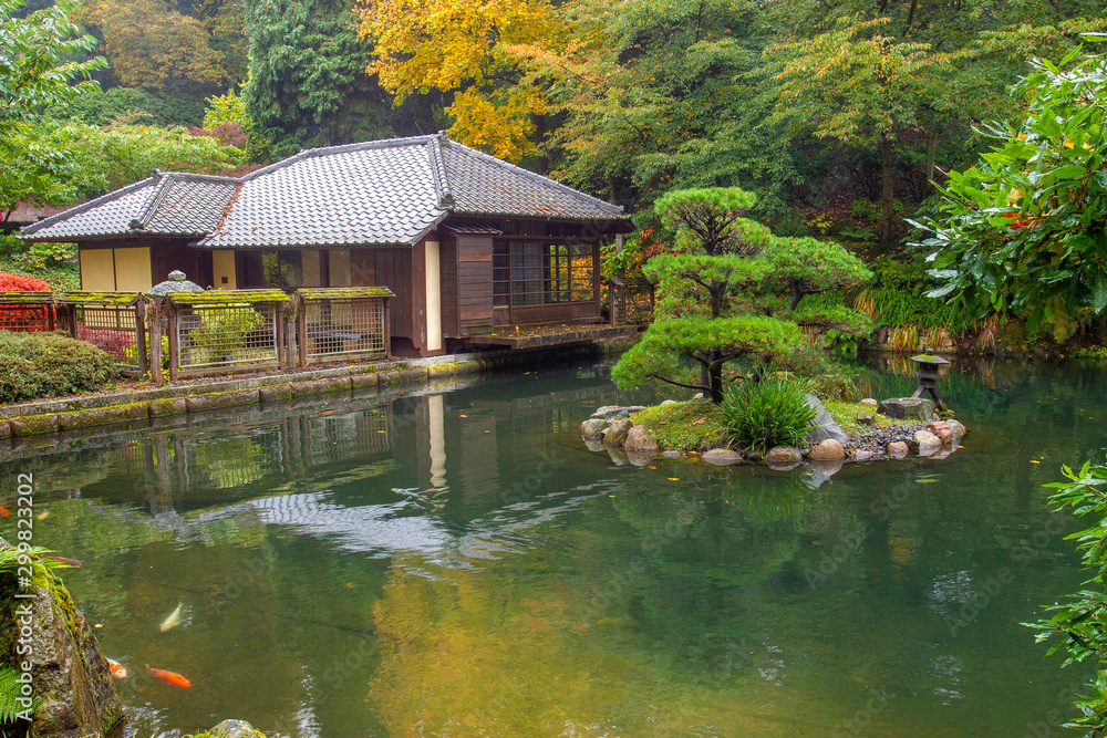 Fantastic autumn in Japanese garden in Kaiserslautern. Fantastic autumn in Japanese garden in Kaiserslautern.