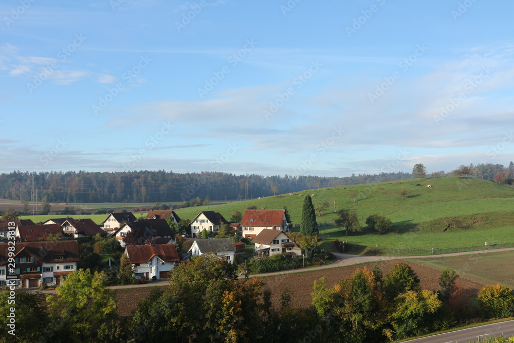 Blick von Schloss Schwandegg auf den Ort Waltalingen im Kanton Zürich