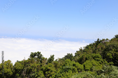 A dessus des nuages à madère © jeanfrancois