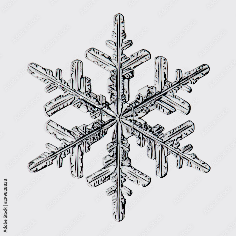 real snowflake real snowflake