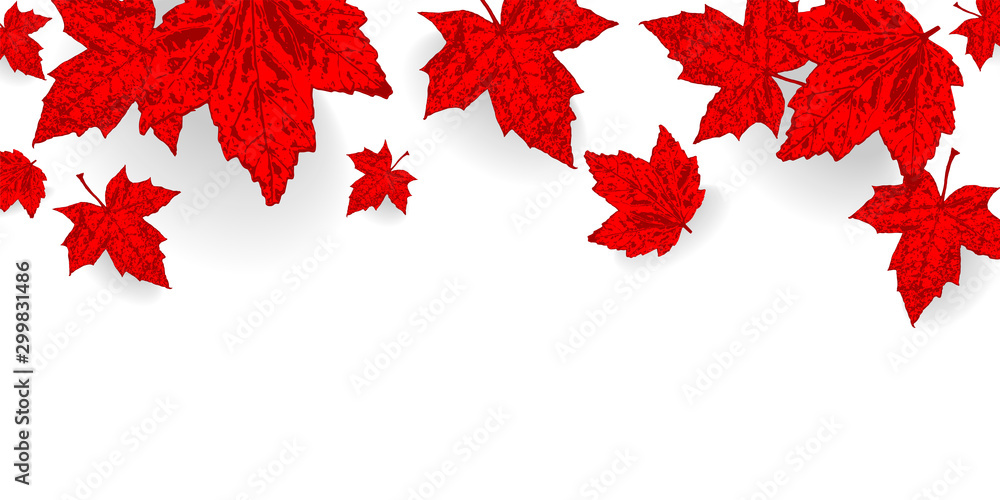 Canada Day background. Falling maple red leaves pattern for design banner,  poster, greeting card for national holiday Canada Day celebrate 1st July.  Autumn red color leaf vector wallpaper illustration Stock Vector |