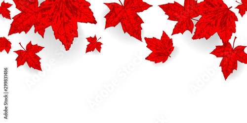 Canada Day background. Falling maple red leaves pattern for design banner, poster, greeting card for national holiday Canada Day celebrate 1st July. Autumn red color leaf vector wallpaper illustration
