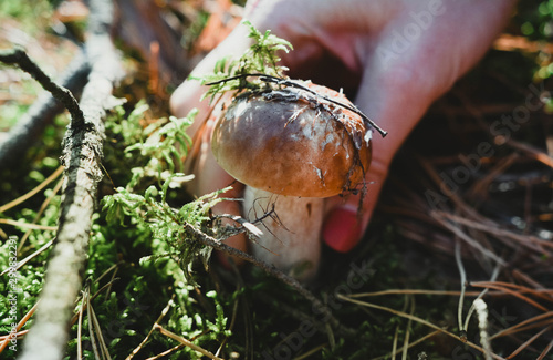 Girl first found a mushroom in the forest