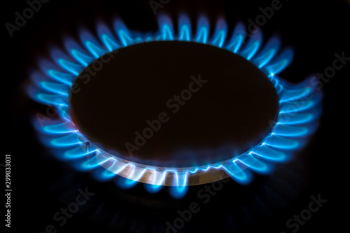gas stove burner close-up, gas energy concept © daniiD