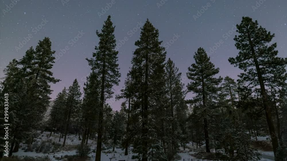 Astro Timelapse Pan Shot of Stars over Snow-covered Alpine Forest Astro Timelapse Pan Shot of Stars over Snow-covered Alpine Forest