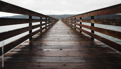 Bridge on Bainbridge Island near Seattle Washington. © nicole