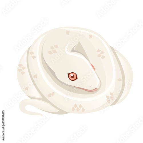 White albino snake cartoon animal design flat vector illustration isolated on white background