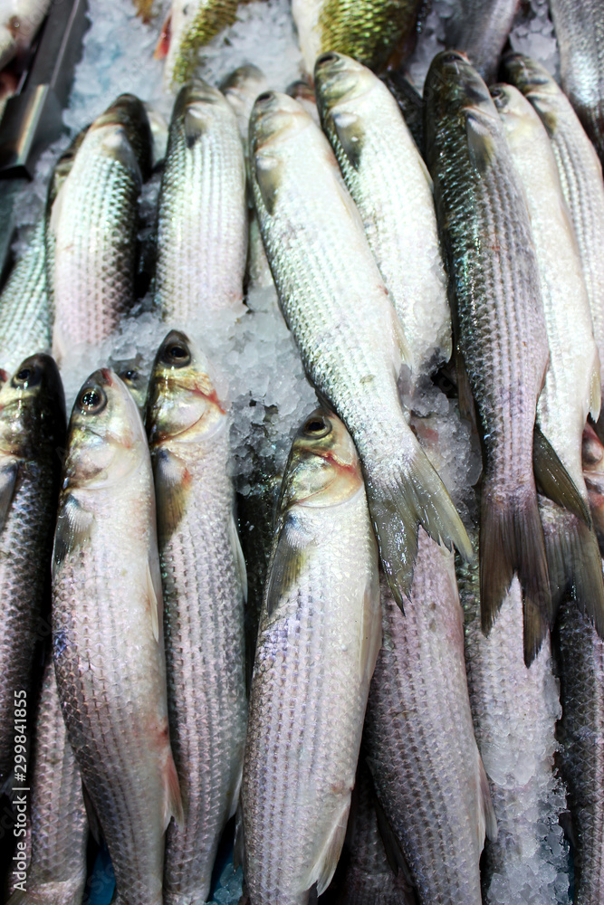Obraz premium Different fish in the market on ice. A lot of fish to choose from. Jerusalem. Israel.