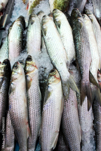 Different fish in the market on ice. A lot of fish to choose from. Jerusalem. Israel.