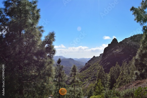 gran canaria, cliff,tree,mautain,forest photo