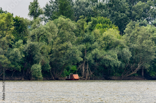 Obedska pond (Obedska bara), a large swamp and forest area and natural reserve along Sava river in Serbia  photo