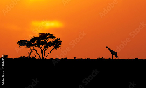 African sunset landscape with giraffe and antelope and red sky