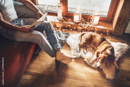 Man reading book on the cozy couch near slipping his beagle dog on sheepskin in cozy home atmosphere. Peaceful moments of cozy home concept image.